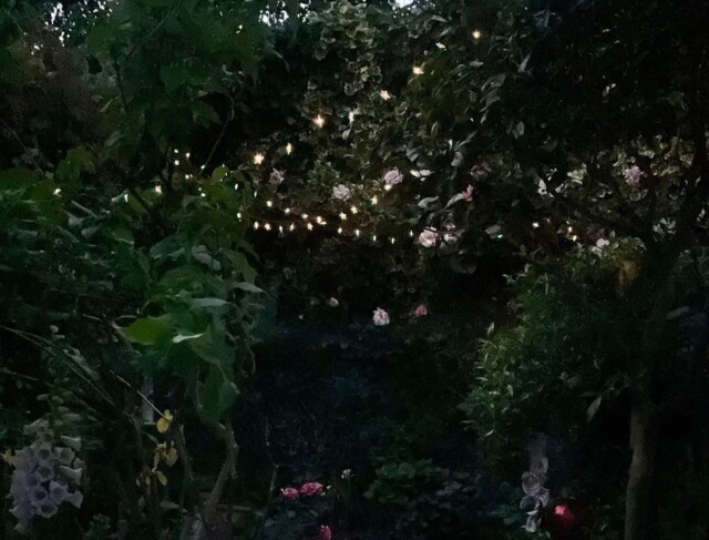 Solar Garden Lights, 50 Led Star Fairy Lights Outdoor Waterproof Solar
