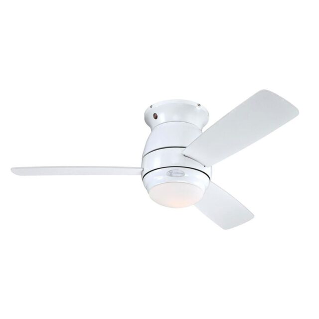 Hugger Mount Ceiling Fan With Light And Remote Halley White & Maple