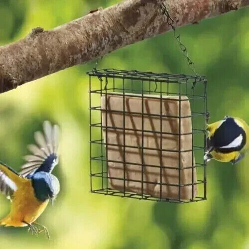 Suet Block Feeder Wild Bird Cake Holder Green Coated Steel Hanging