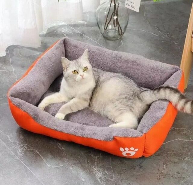Pet Cat Dog Bed Warm Comfortable Dog House Basket Mat Autumn Winter