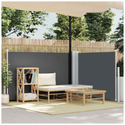 Retractable Side Awning Anthracite 100x600cm Polyester Pu Coated