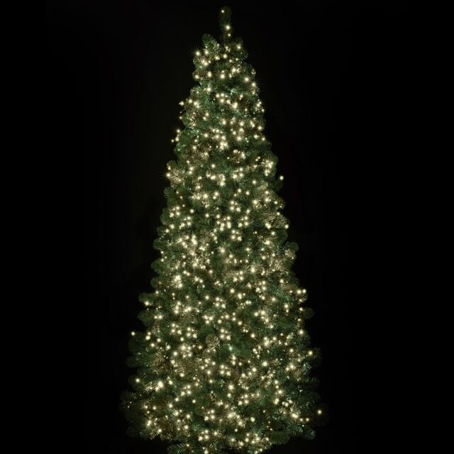 1500 Warm White Treebrights With Timer - Led, Fairy Lights, Christmas,