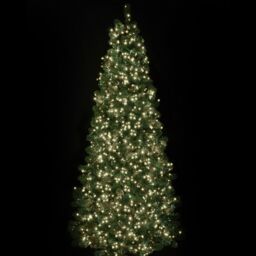 1500 Warm White Treebrights With Timer - Led, Fairy Lights, Christmas,