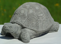 Baby Tortoise Stone Garden Ornament Hand Cast 16 X 10 X 6 Cms 850