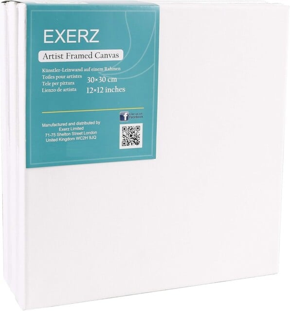 Exerz 30x30cm Framed Canvas 5pk - 1.7cm Pre-stretched 30x30cm-5pk,