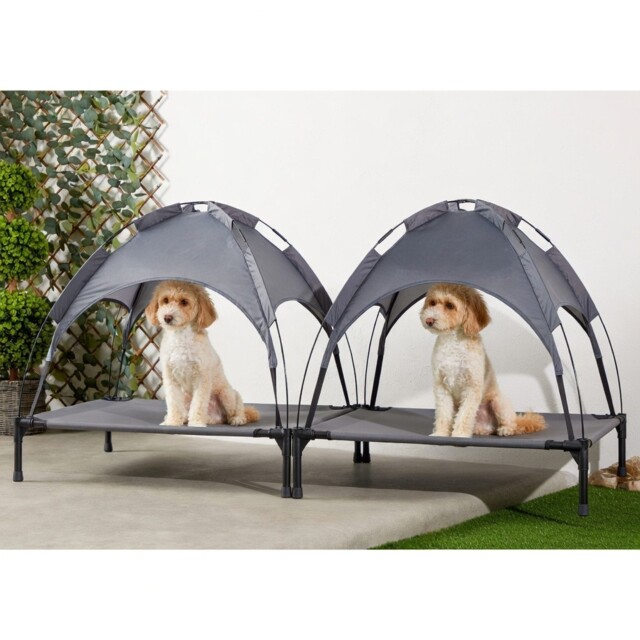 Petlicity Elevated Dog Bed Pet Canopy With Sunshade Pack Of 2