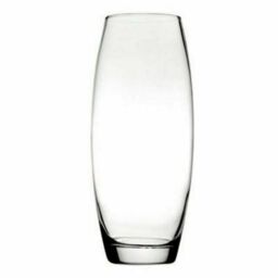Pasabache Botanica 26cm Glass Vase - Clear