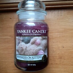 Yankee Candle Rare Whiskers On Kittens 22 Oz Large Jar