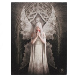 Anne Stokes Wall Art Canvas Plaque Unicorn Dragon Wolf Angel Spirit