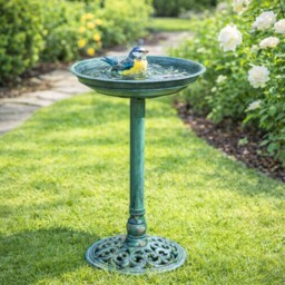 Garden Bird Bath Table Feeder Station Free Standing Oyster Shell
