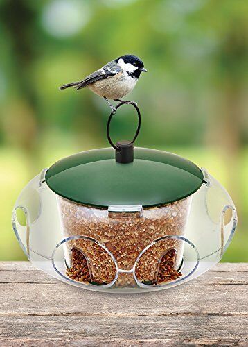 Peckish Small Bird Seed Feeder
