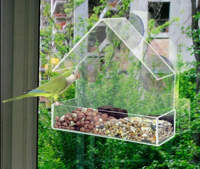 Bird Feeding Station Garden Window Perspex Feeder Birdcare Outside 4