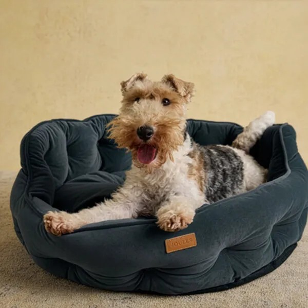 Joules Chesterfield Velvet Dog Bed Sizes & Colours