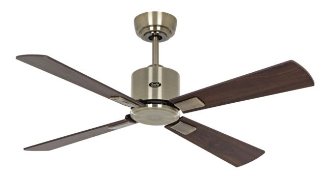 Smart Ceiling Fan With Remote Dc Ceiling Fan Quiet Neo 103cm Brass