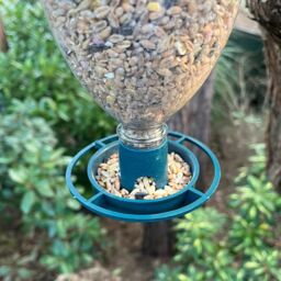 Bottle Top Bird Seed Feeders (set Of 6) Bird Feeder Kit Recycle