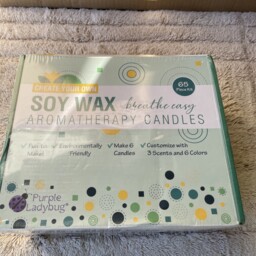 Purple Ladybug Scented Candle Making Kit Foradults Craft Your Own6