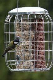 Henry Bell Wild Bird Feeder Squirrel Proof Cage Guard Seed Large