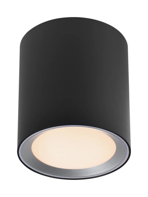 Ceiling Light Black Landon 14 Bathroom Lighting Fixture In - Homeware