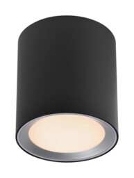 Ceiling Light Black Landon 14 Bathroom Lighting Fixture In - Homeware