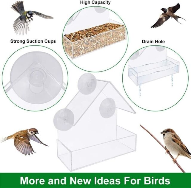 Glass Window Bird Feeder Table Seed Peanut Hanging Suction Perspex