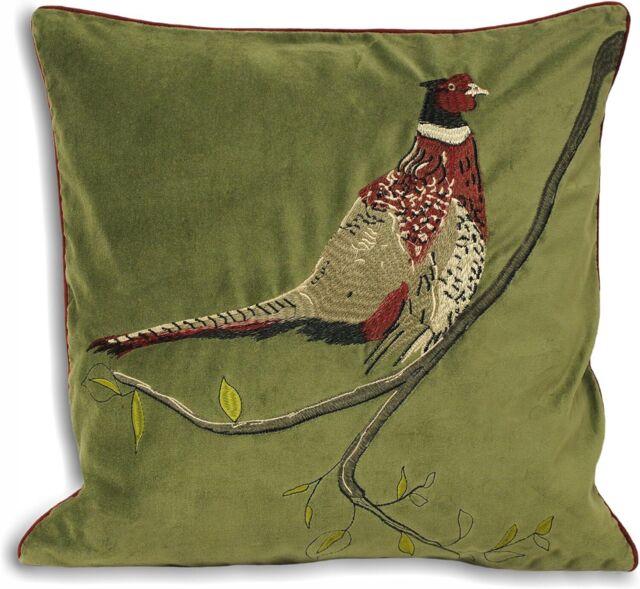Riva Home Hunter Velvet Cushion Cover, Green, 45 X 45cm