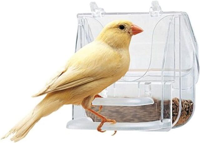 Ferplast 84522724 Pretty 4522 Acrylic Bird Feeding Bowl 9 X 9 X 9 Cm