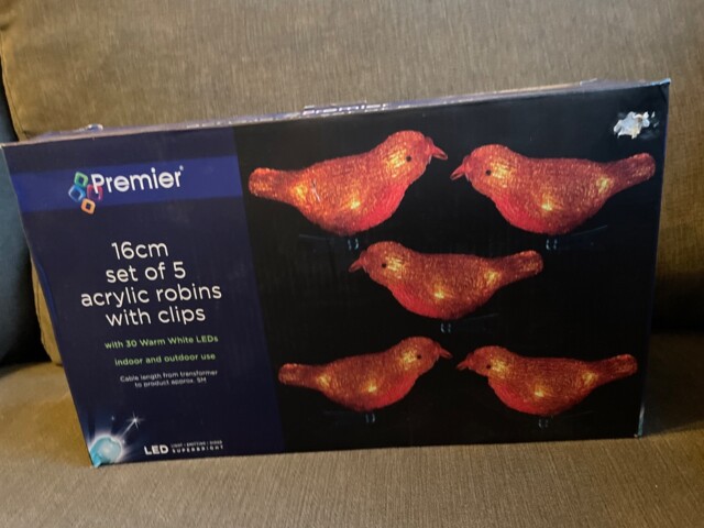 Premier 5 Acrylic Robin Lights ,clip On ,warm White Leds , Outdoor/