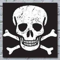 Skull Canvas Black & White Art Print Poster Gothic Pirate Halloween