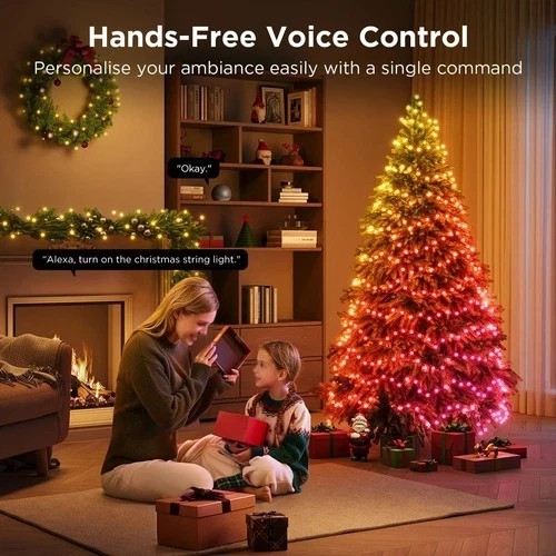 Govee Christmas String Lights 2s 30m 300 Leds Rgbic Smart App Alexa