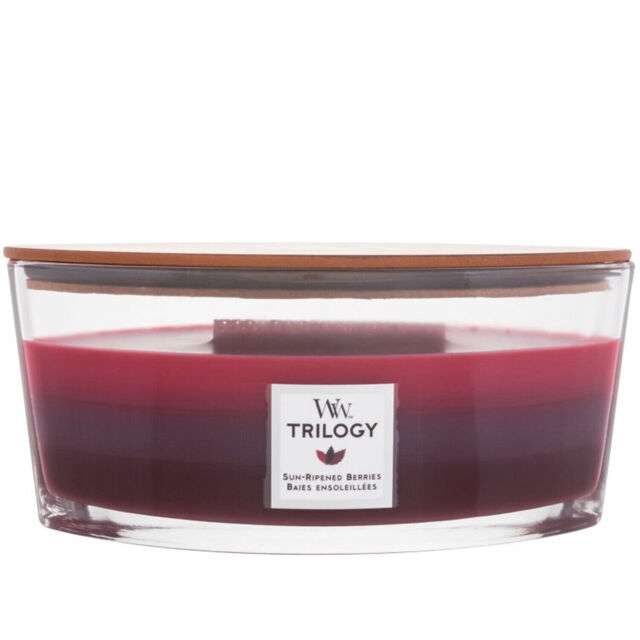 Woodwick Candle Ellipse Long Lasting Home Fragrance Scented Candle