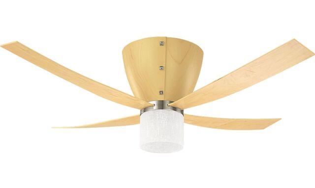 Ceiling Fan With Light Hunter Valhalla Beech Ceiling Fan With Remote
