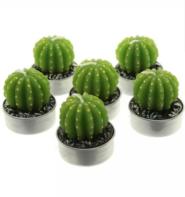 Cactus Tealight Candles 6 Pack Fun Gift Idea Table Decoration Party