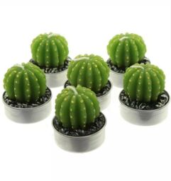 Cactus Tealight Candles 6 Pack Fun Gift Idea Table Decoration Party