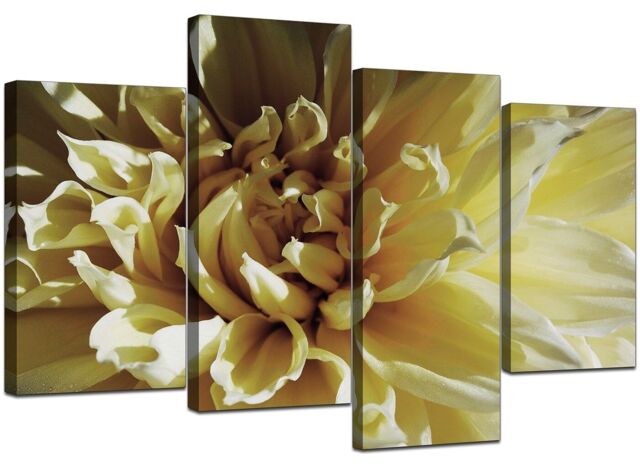 Large Cream Yellow Floral Canvas Flowers Wall Art Xl Pictures Set 4104