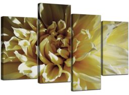 Large Cream Yellow Floral Canvas Flowers Wall Art Xl Pictures Set 4104