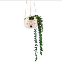 Sass & Belle - Woodland Fox Hanging Decorative House Plant Planter