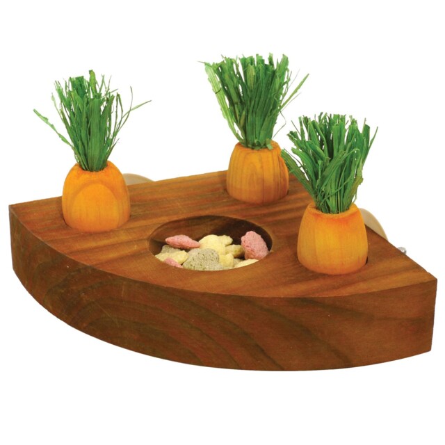 Rosewood 19260 Boredom Breaker Carrot Toy 'n' Treat Holder Small,