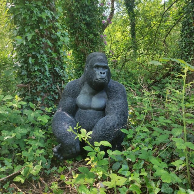 Vivid Arts Large Real Life Sitting Gorilla Resin Ornament - Xrl-grls-a