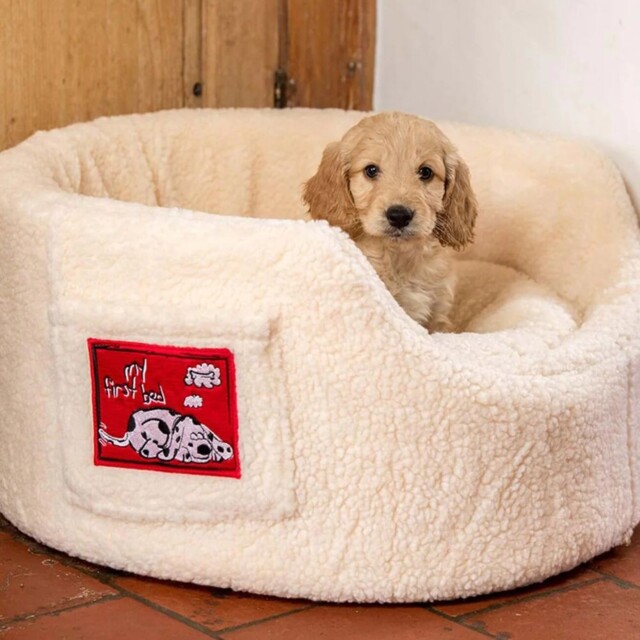 Danish Design My First Bed - Puppy Bed - Dog Bed With Heat Pad - Pup