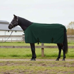 Horse Blanket Dark Green 115cm Polyester Winter Outdoor Breathable