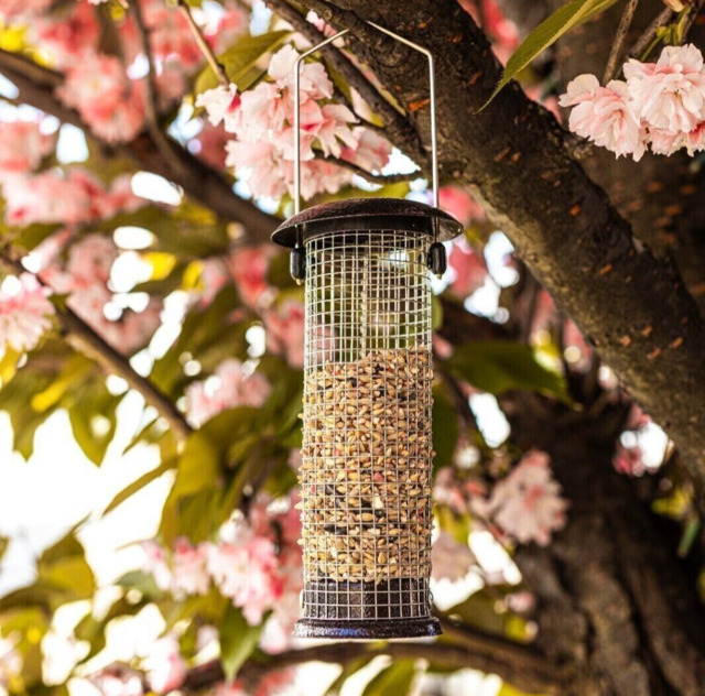 Hanging Bird Nut Feeder Wild Garden Feeding Station Premium Hammertone