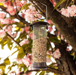 Hanging Bird Nut Feeder Wild Garden Feeding Station Premium Hammertone