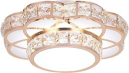 Crystal Ceiling Light, Plum Blossom Modern Light, White Acrylic 3