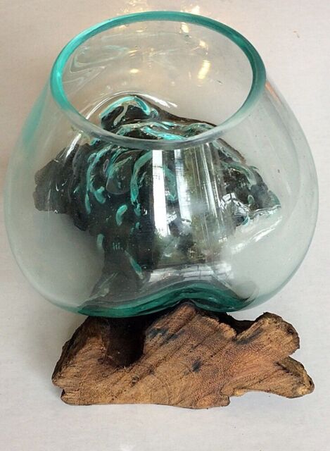 Glass Vase Candle Holder Ornament - Terrarium Glass On Teak Root Base