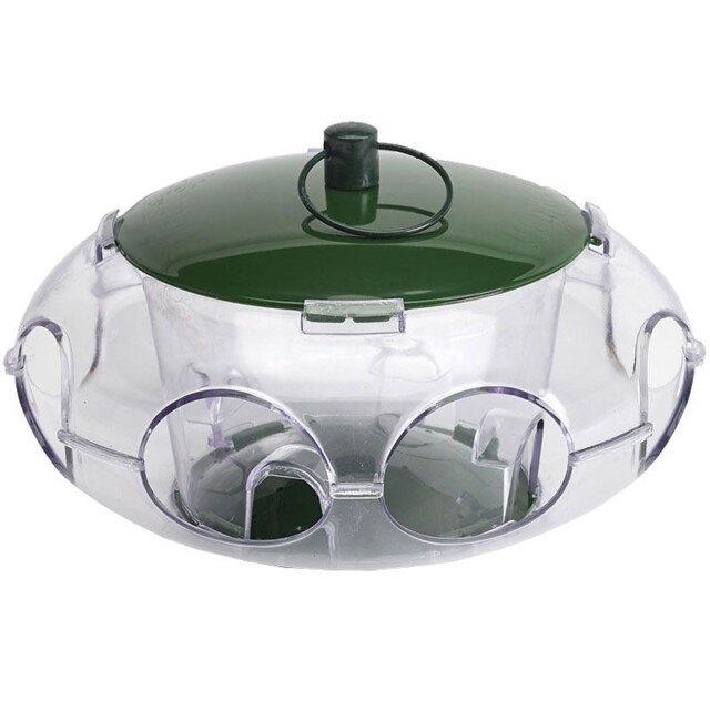 Peckish Small Bird Seed Feeder Hanging Ring & Small Entrances For