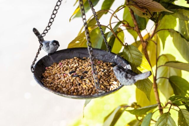 Hanging Steel Bird Bath Wild Garden Bird Feeder Outdoor Decor Feeding