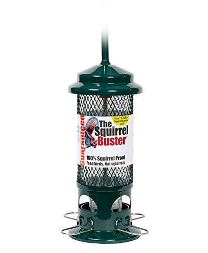 Squirrel Proof Bird Feeder Small Birds Jacobi Jayne Squirrel Buster
