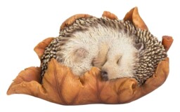 "Vivid Arts ""real Life"" Hedgehog Baby In Leaf Ornament"