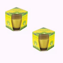 Chatsworth Citronella Glass Candle Fragranced Insect Bug Repellent