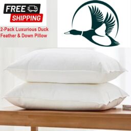 Duck Feather & Down Pillows Pillow Extra Filled Hotel Quality Pack Of